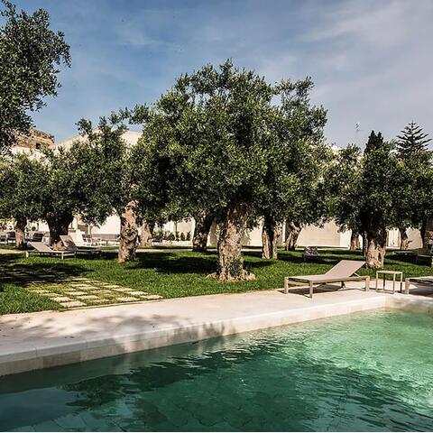 The pool, surrounded by olive trees, at La Fiermontina in Lecce