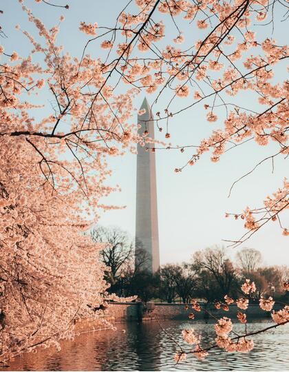 Washington DC, Spring