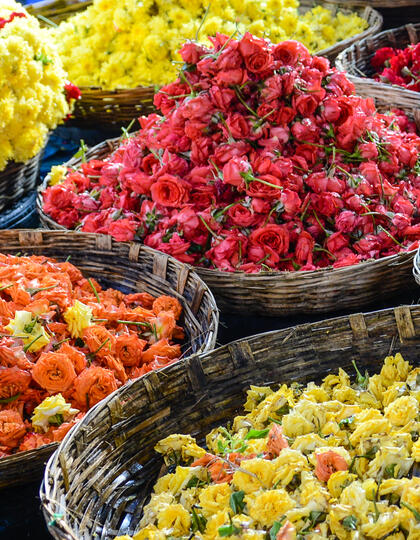 Baskets, roses