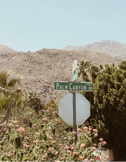 Palm Canyon Drive