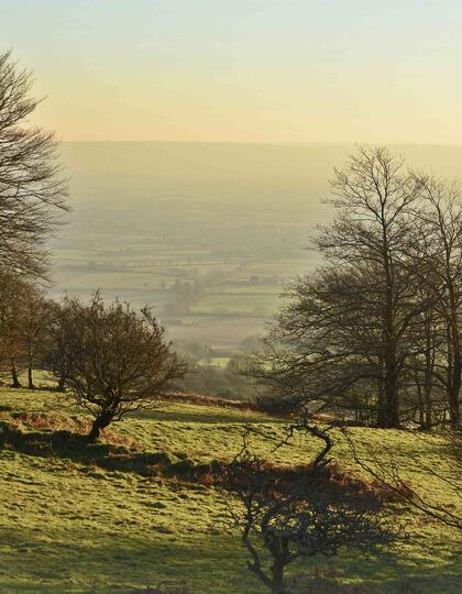 Quantocks, Somerset, England