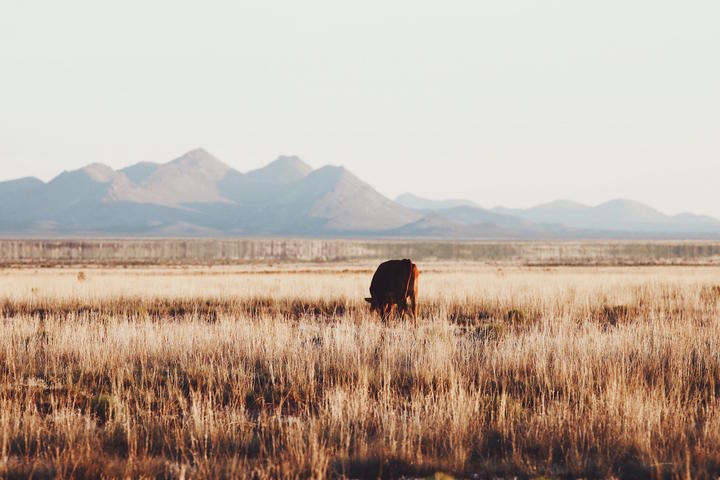 A Road Trip Through America’s Southwest