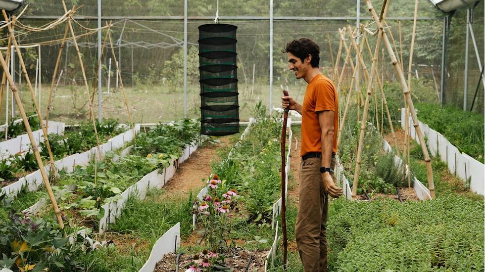 On the farm at Finca Gaia