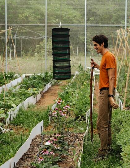 Someone working the land at Finca Gaia, Puerto Rico