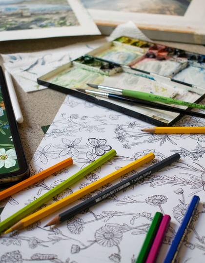 Pencils cover initial botanical sketches