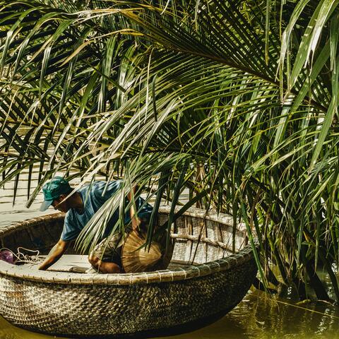 Hon Nghe, Vietnam