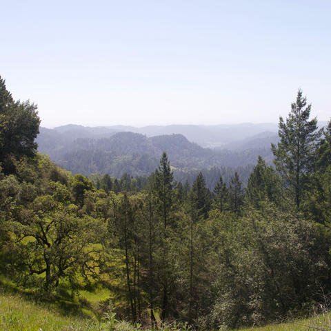 guerneville-california