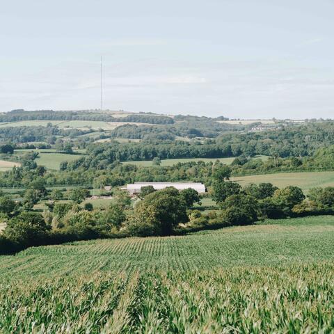 Somerset Countryside, UK