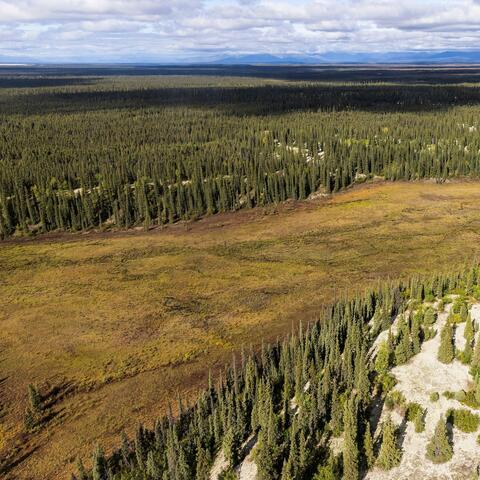 Kobuk Valley National Park, USA