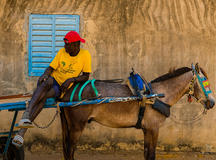 A man and his donkey near Sine Saloum Delta, Senegal