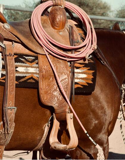 Modern cowgirl, Arizona, USA