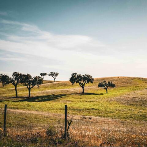 Alentejo, Portugal