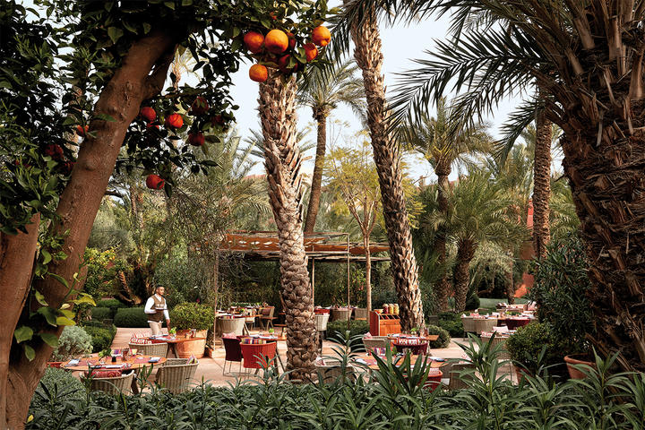 Marrakech Flair: A City for the Senses