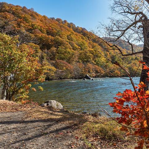 Autumn trees surround a lake