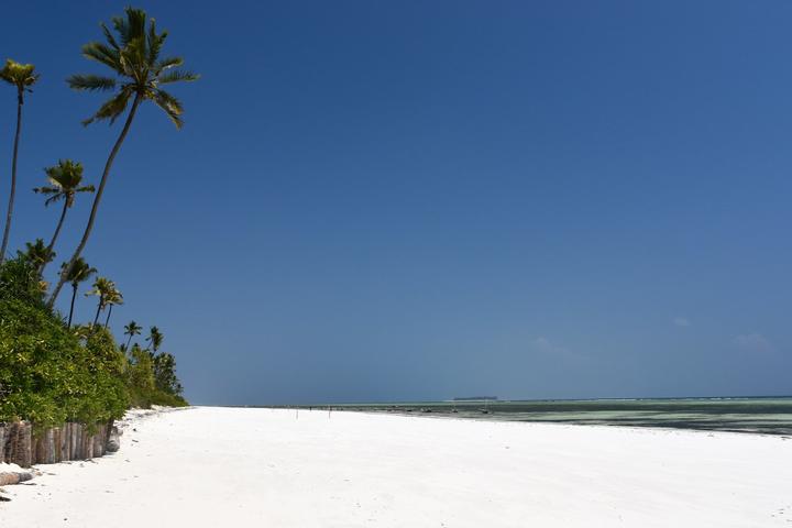 Once in a Lifetime Zanzibar