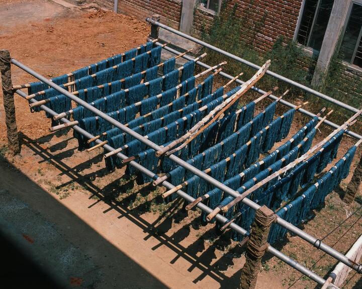 Indigo cloth drying in the sun at The Colours of Nature, Tamil Nadu, India