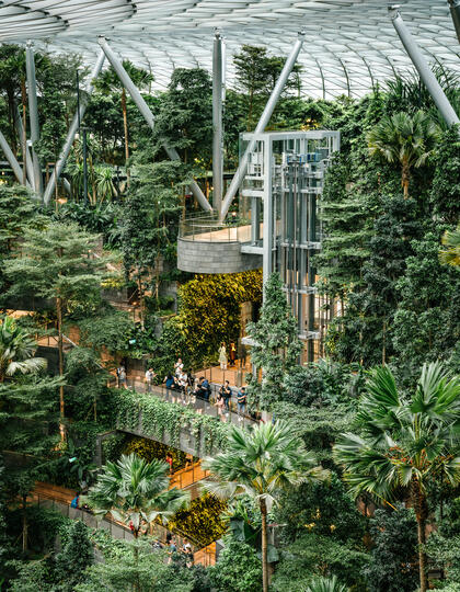 Singapore Green Spaces