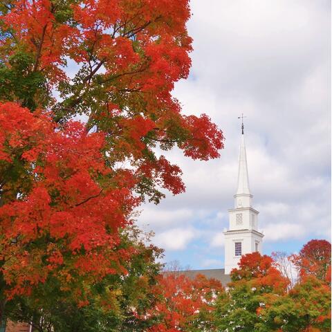 Red leaves on a tree beside a white tower