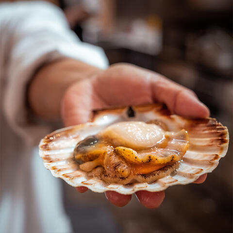 A scallop in a shell at Mayha restaurant, Marylebone