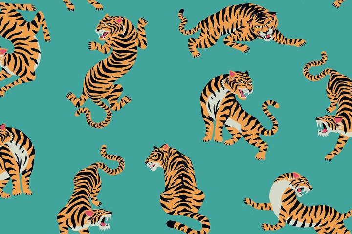 The Tiger King Edit: 12 Fierce Products to Channel Your Wild Side