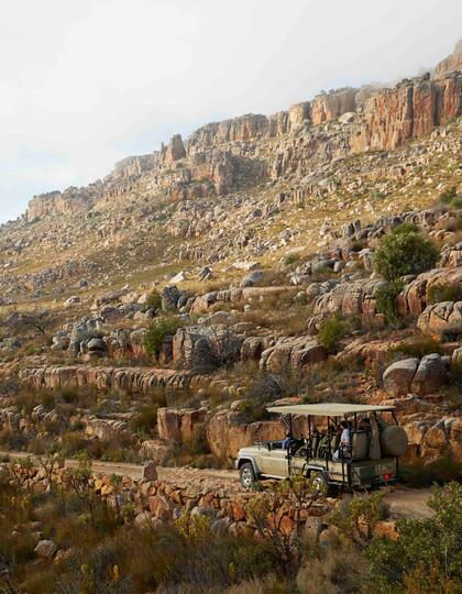 Drive, Bushmans Kloof, South Africa