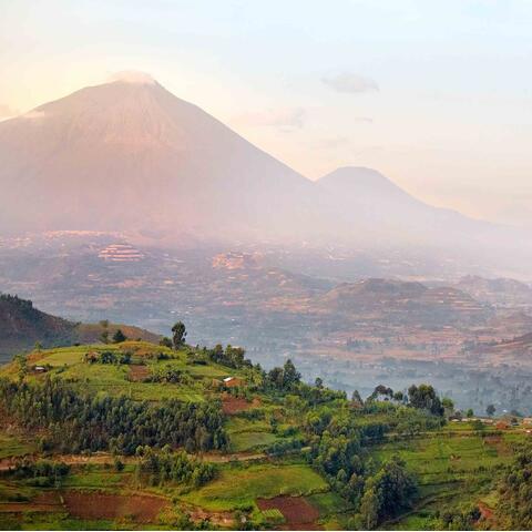 Virunga Volcano Park, Rwanda