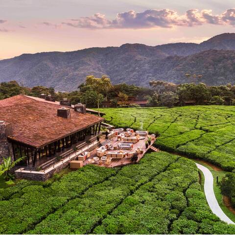 One and Only Nyungwe House, Rwanda