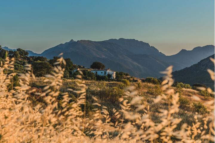 Wellness Buzz: Hives and Healing in the Andalusian Hills