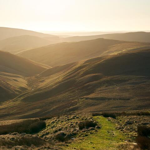 Northumberland. UK